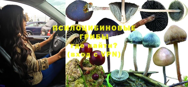 кокс Дмитриев
