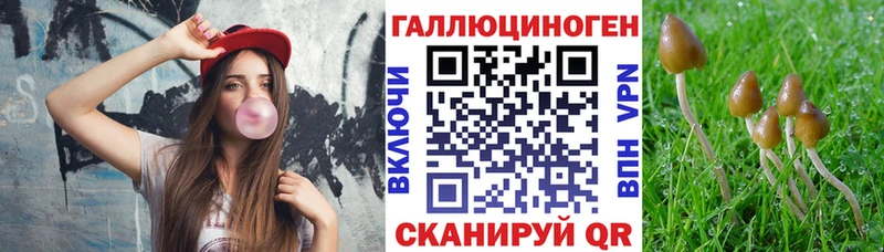 Купить  Лодейное Поле  Псилоцибиновые грибы мицелий 